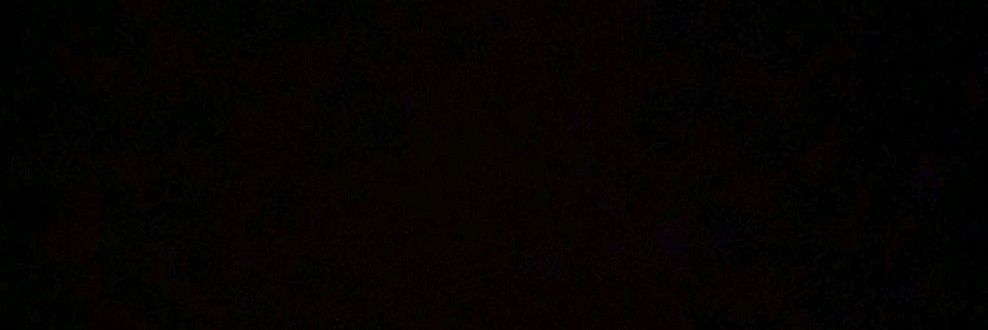 Dariel. banner
