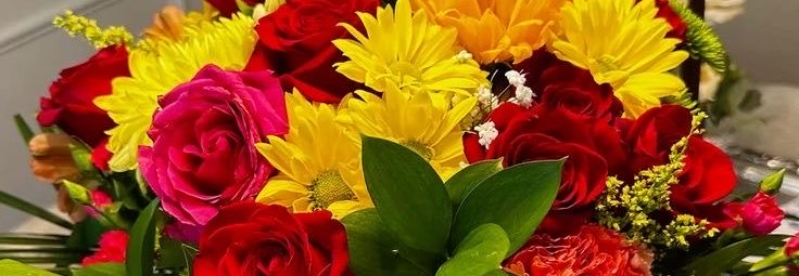 stepha51099's profile banner image