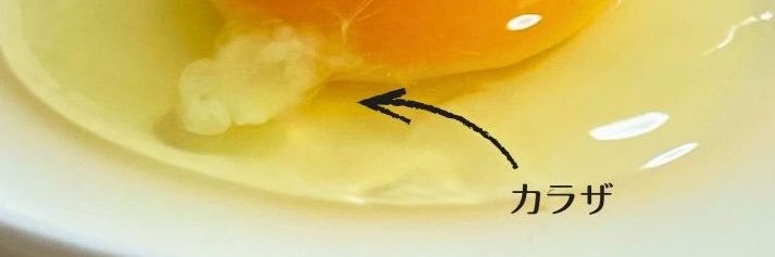 paranoa0721's profile banner image
