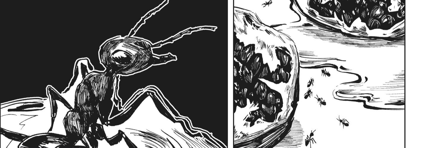 有林あきら banner