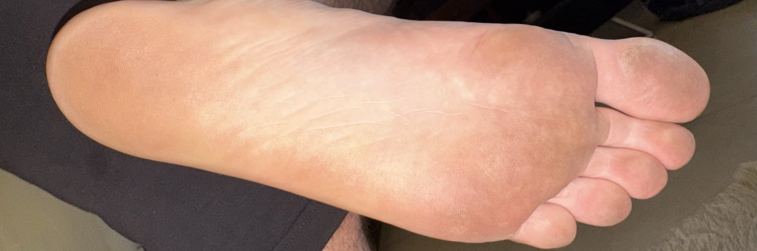 Findom Bittencourt banner