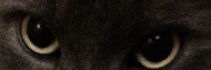 yyykbb1's profile banner image