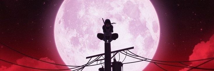 sejvus banner