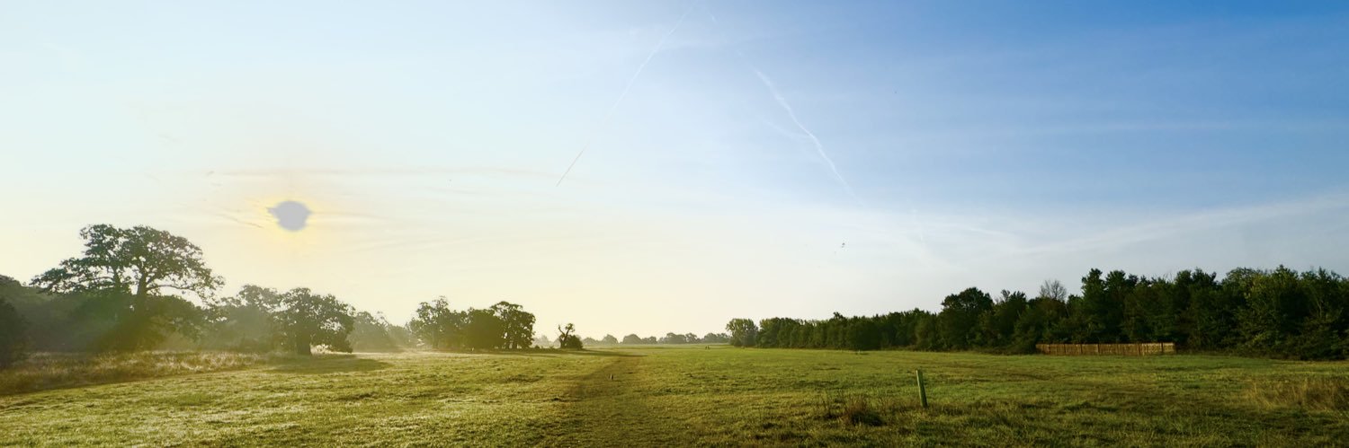Peterlowery's profile banner image