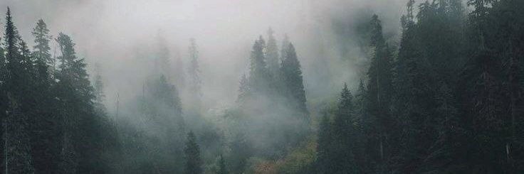 ᵇᵒⁿᵉˢ banner