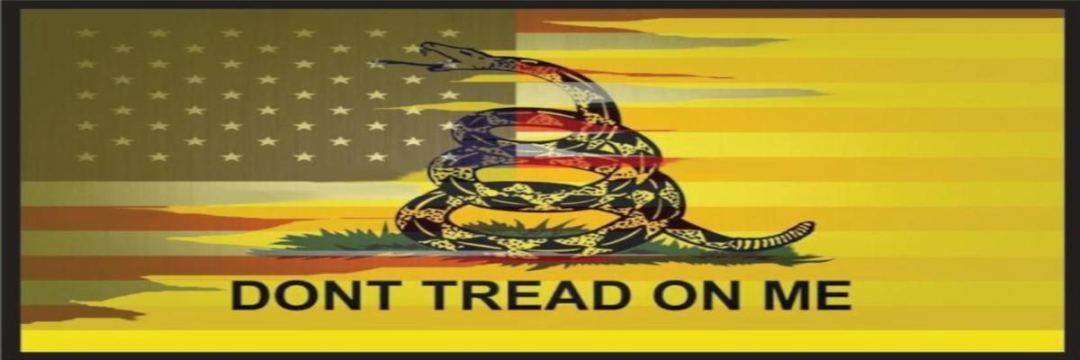 KevinKapel's profile banner image