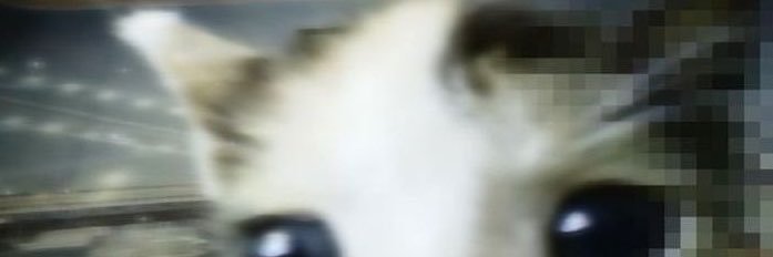 heaiuu's profile banner image