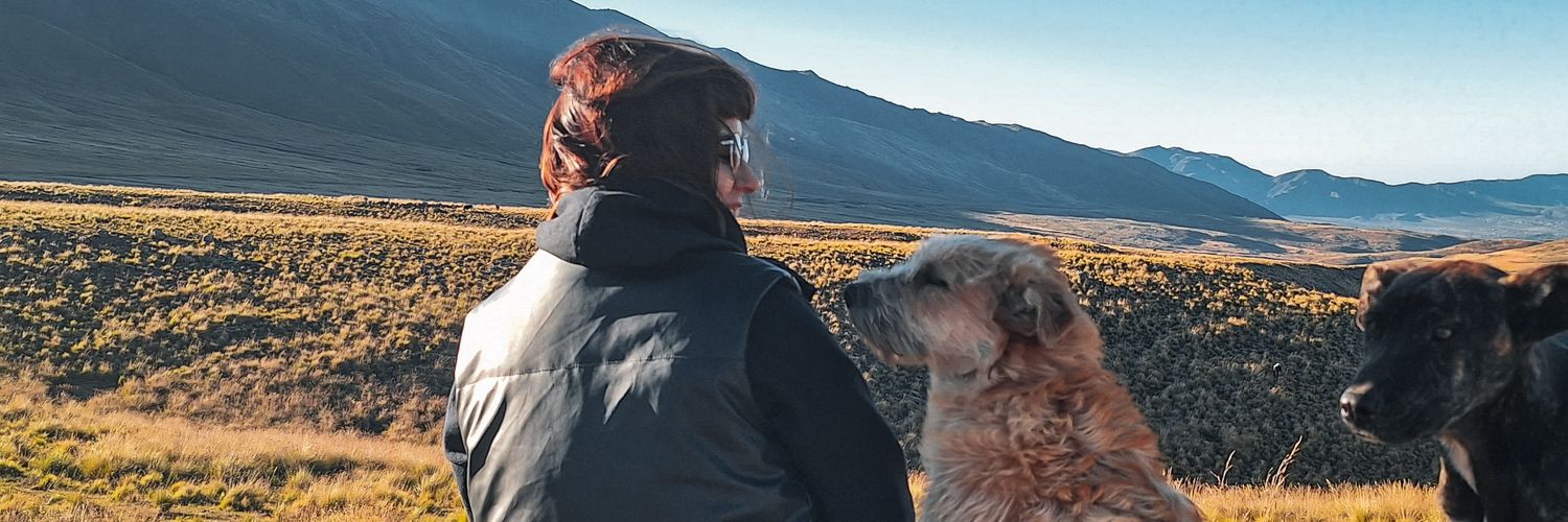 flopaamocchi's profile banner image