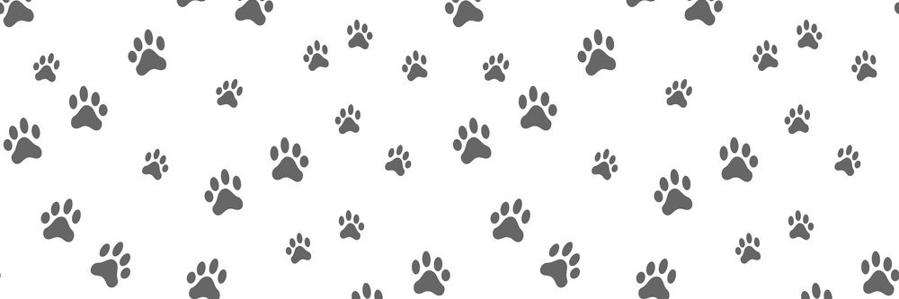 Iwolfion's profile banner image