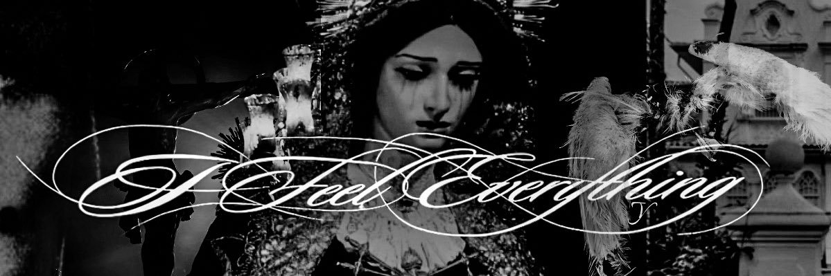 թaris. banner