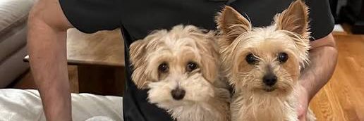 Chester Finch banner