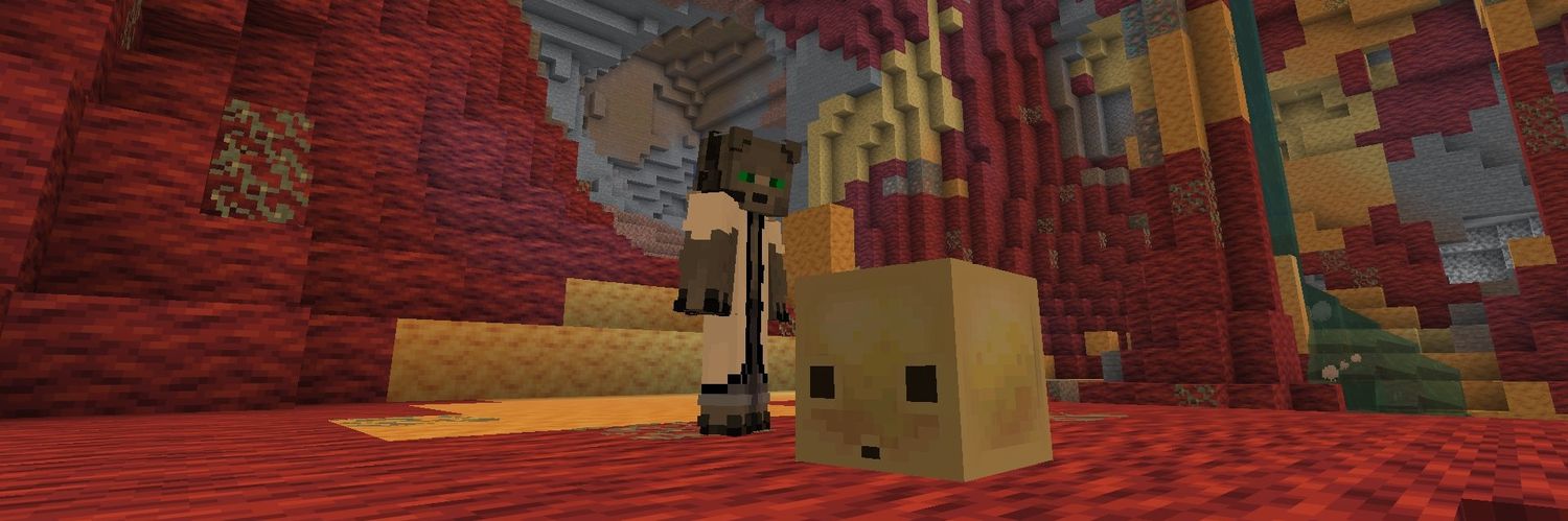 🇮🇱libertaria🇦🇷 banner