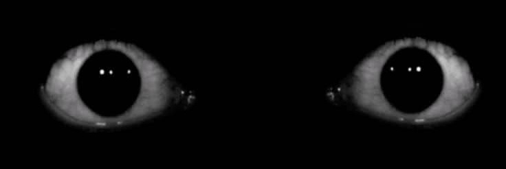 ENHYPEN IS SEVEN 🧡 banner