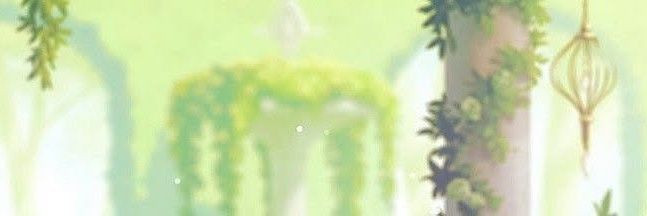 mielle. banner