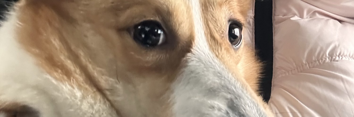 ClareLkakx's profile banner image