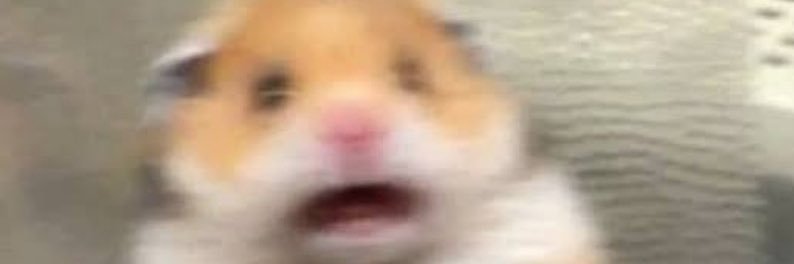 fake’o pero banner