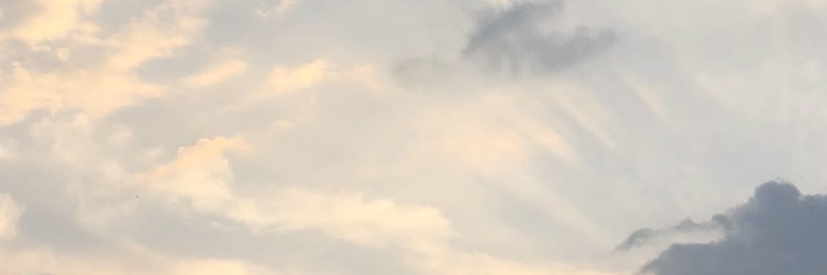 ℝ𝕒𝕟♪ banner