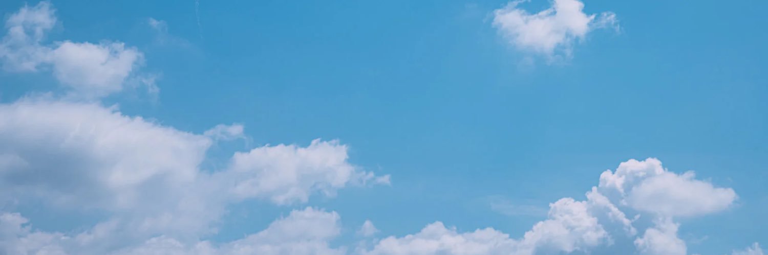 明太子ちゃん banner