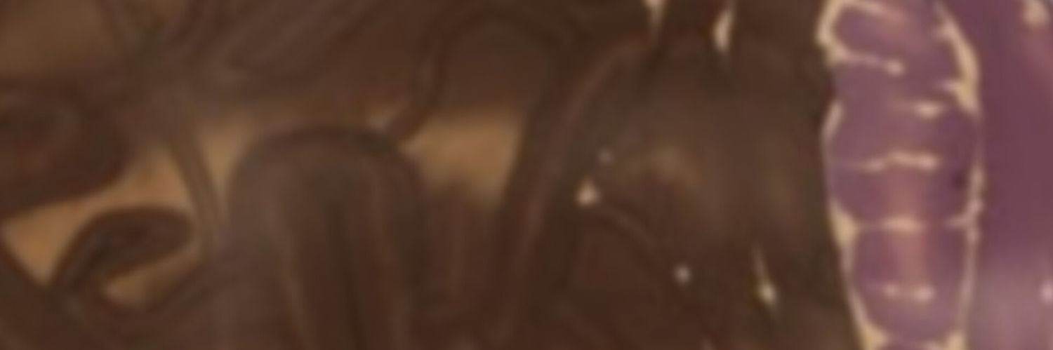 𝑫𝑰𝑪𝑲-𝑺𝑳𝑰𝑵𝑮𝑬𝑹 banner