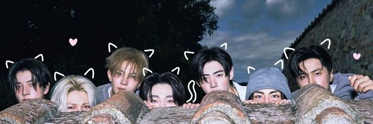 ⋆˚꩜｡ starries banner