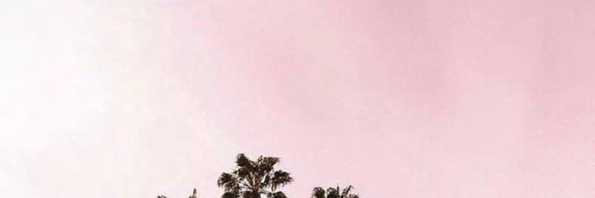 🪷 banner