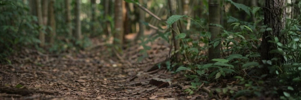 Automated Inu banner