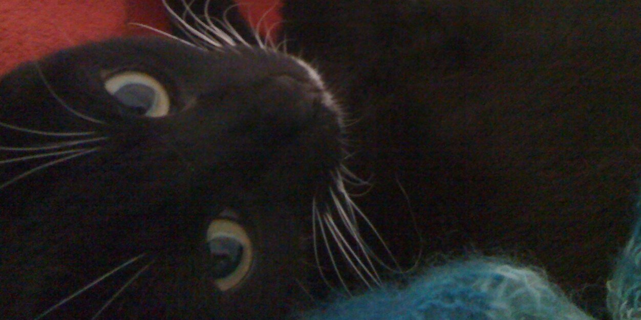 DyanD's profile banner image