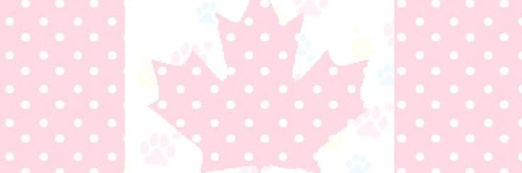 Maple Mae 🦫🍁 VTUBER banner