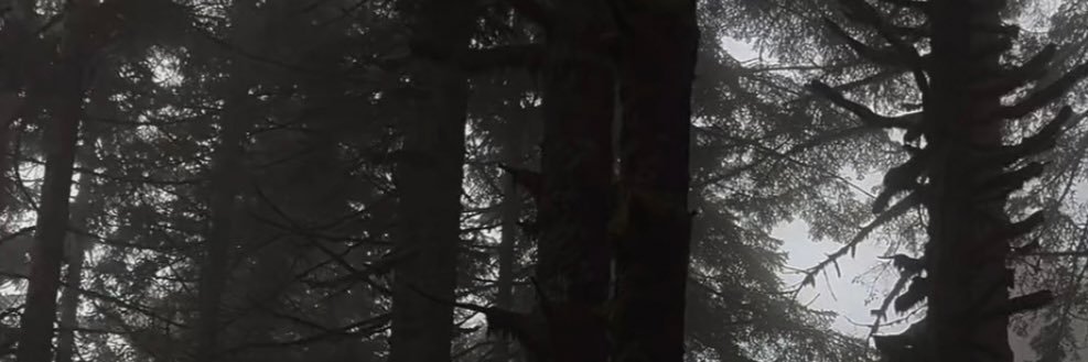 Core 2 banner