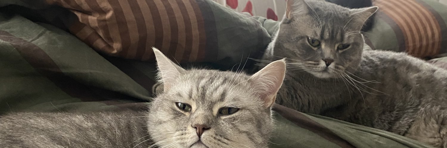 MelikeBozdoogan's profile banner image