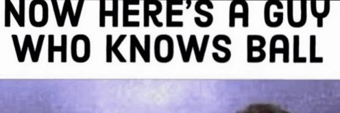 Avid Cubs Enjoyer banner