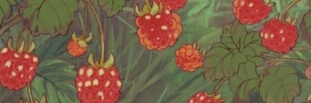 wishforfields's profile banner image
