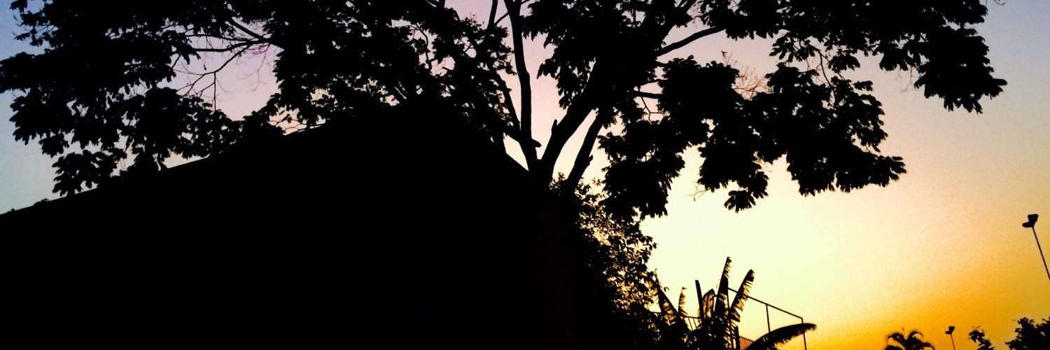 izaa_berti's profile banner image