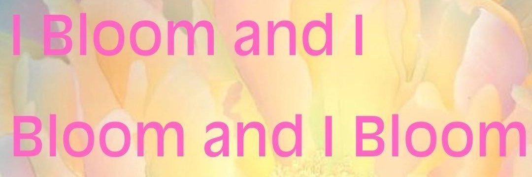 gno0ch's profile banner image