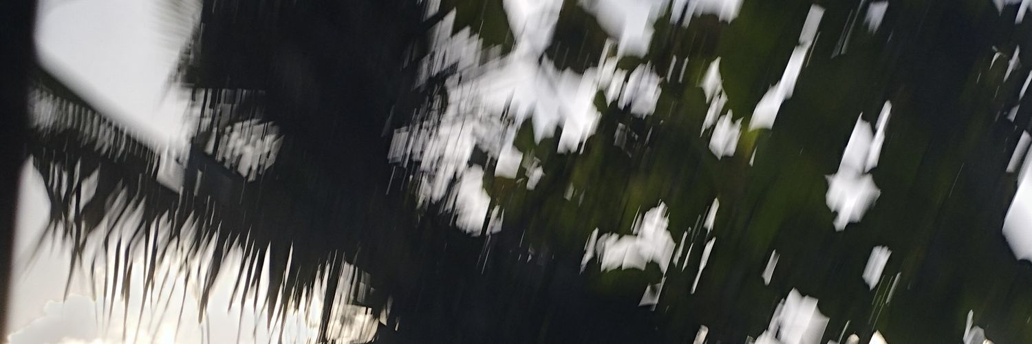 Backup Peroro banner