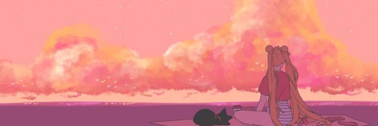 rocío ✮ banner