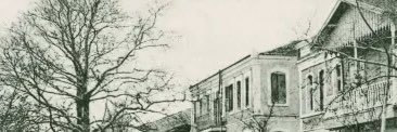 fethiozak banner