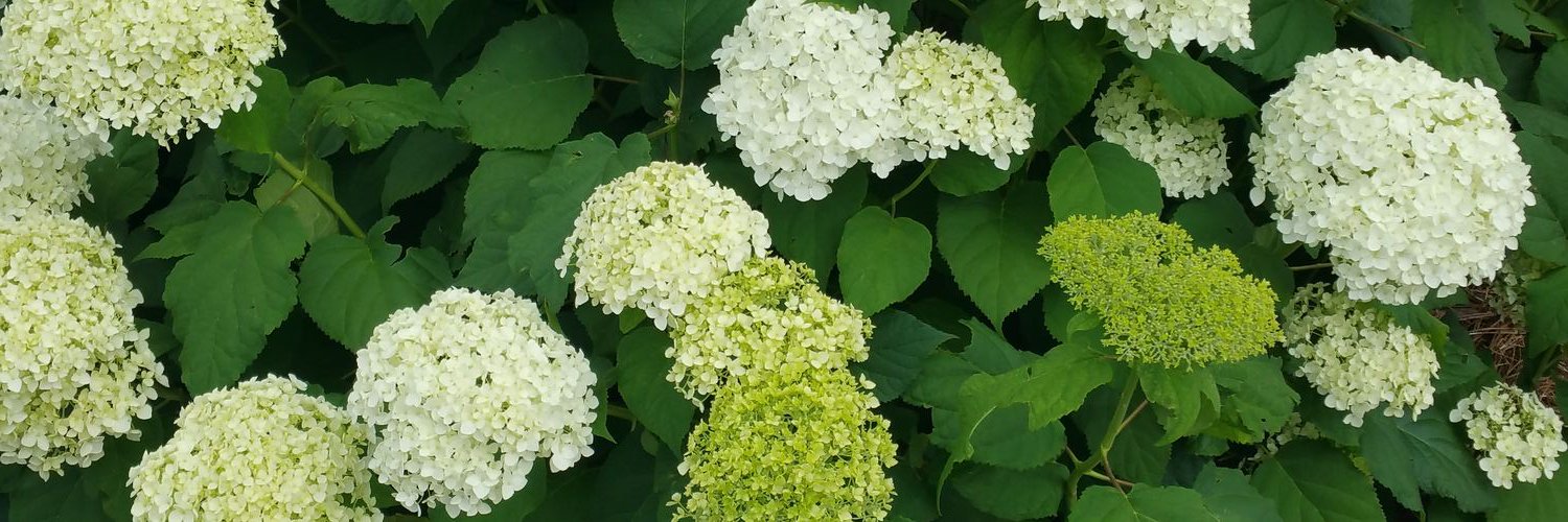 JoycelynGray's profile banner image