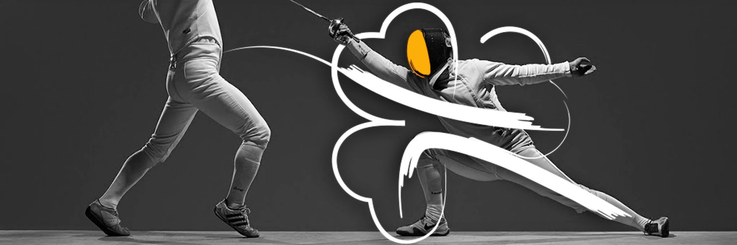 FencingIreland's profile banner image
