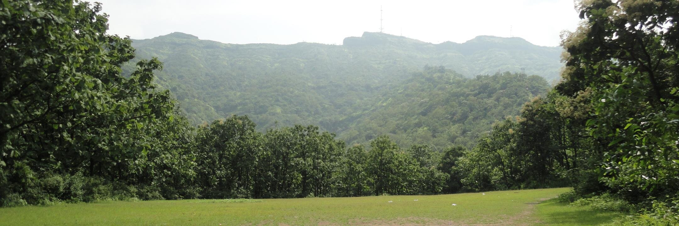 Rabish Chandra banner