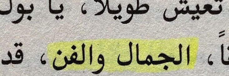 N🌴 banner