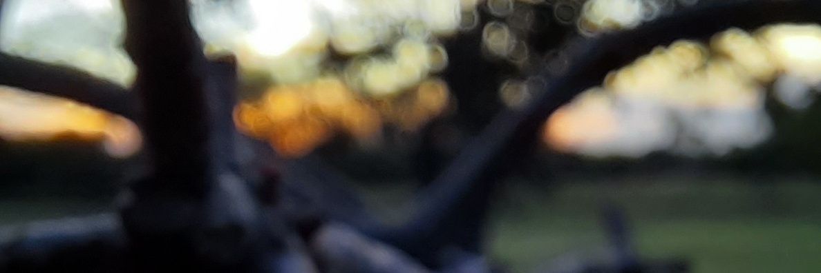 thiagoacoimbra's profile banner image