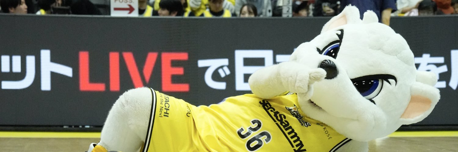 サンディー banner