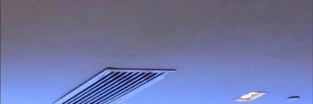 樱桃 banner
