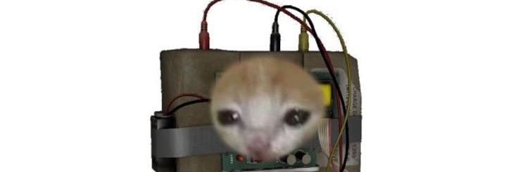 TheC4Cat_'s profile banner image