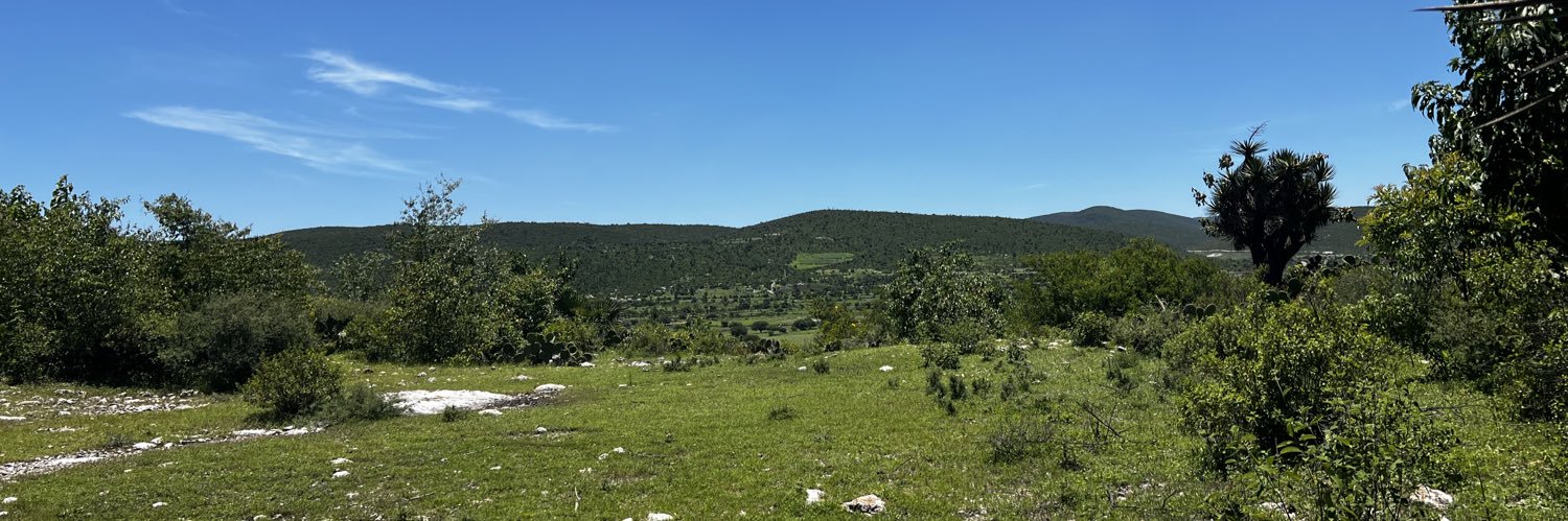 ElMagoLoHizoOtravez banner