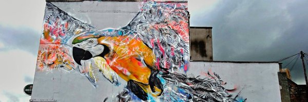 Ali_gator_ Profile Banner