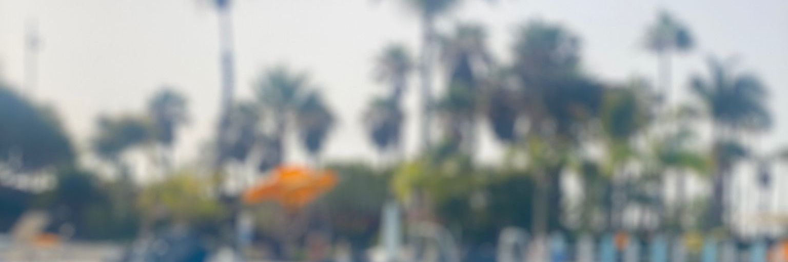 ramigots's profile banner image
