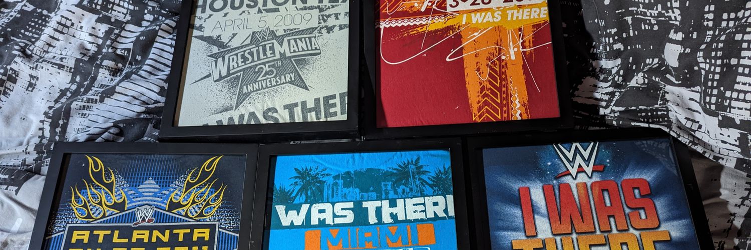 The Phenomenal DS D'Wit banner