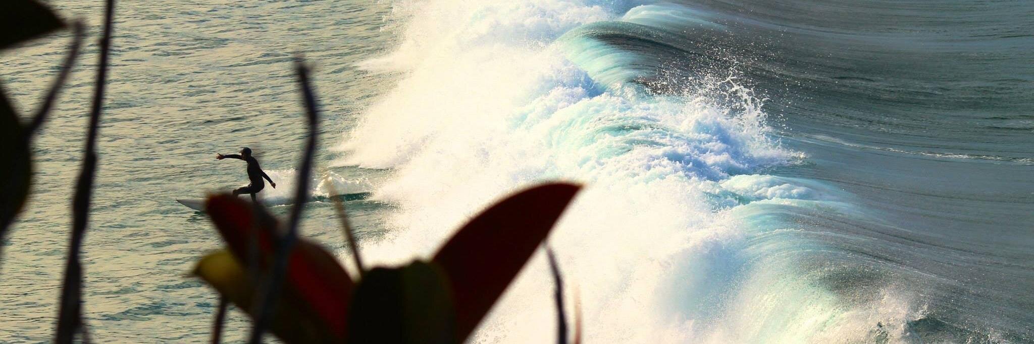 Toeside's profile banner image